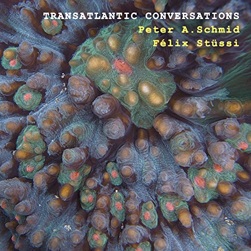 Schmid , Peter A. & Stüssi , Felix - Transatlantic Conversations