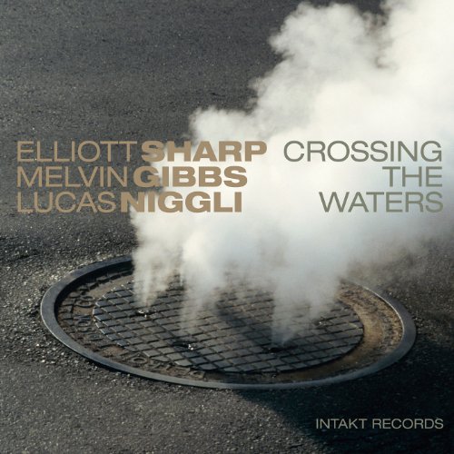 Sharp , Elliott - Crossing the Waters