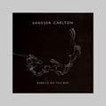Vanessa Carlton - Rabbits on the Run