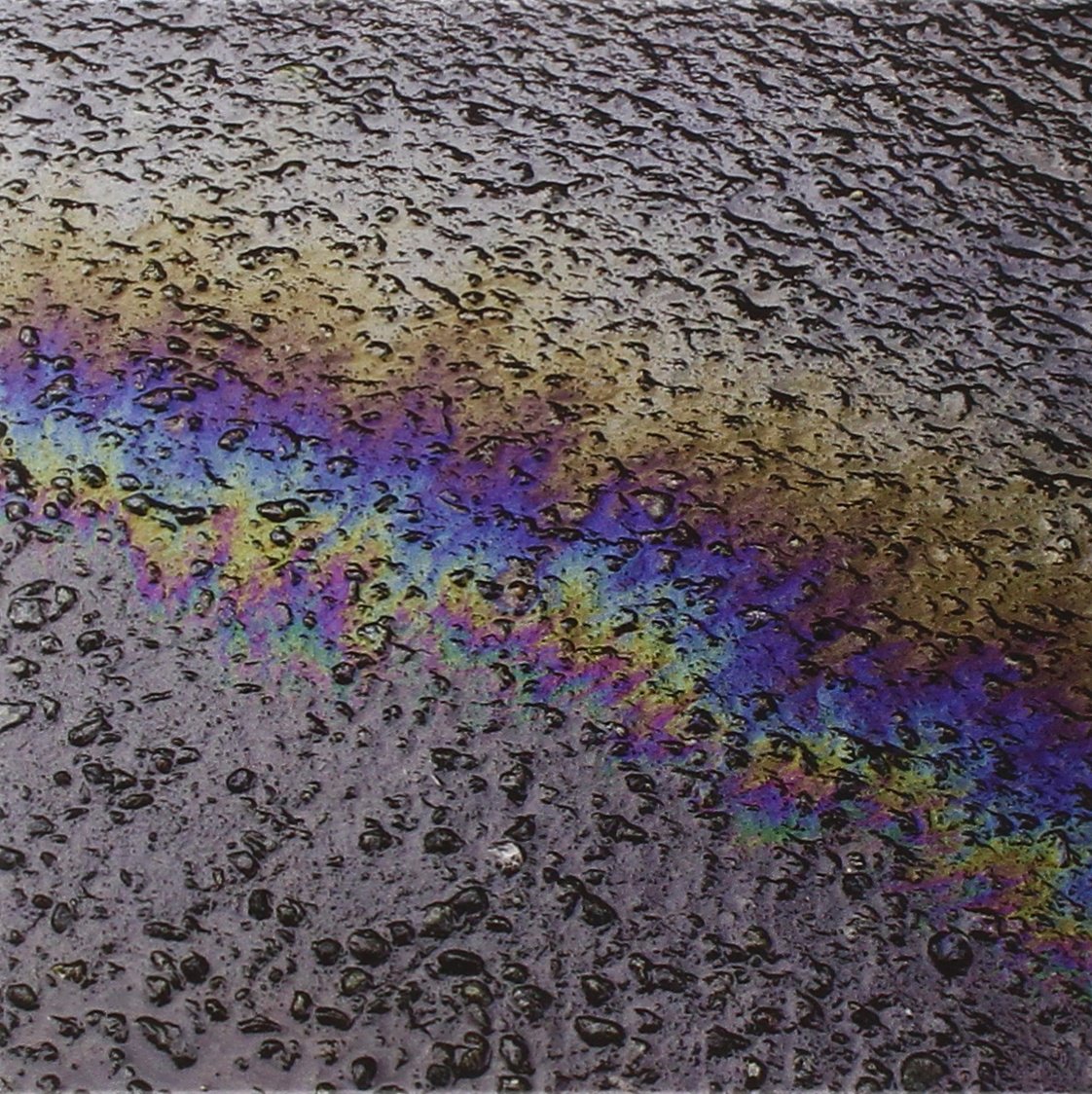 Halo , Laurel - In Situ