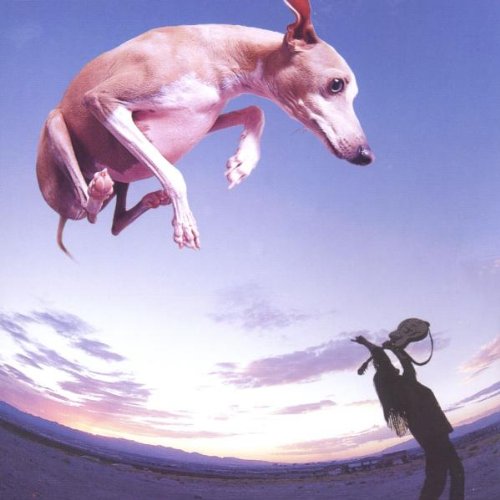 Paul Gilbert - Flying Dog