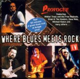 Sampler - Where Blues Meets Rock