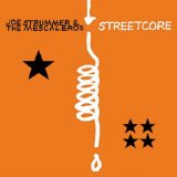DVD - Joe Strummer: The Future Is Unwritten