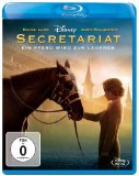 Blu-ray - Storm Rider - Schnell wie der Wind [Blu-ray]