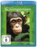 Blu-ray - Das Geheimnis der Flamingos (Disneynature)