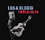 Luka Bloom - Refuge