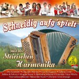 DIVERSE INTERPRETEN - So schön klingt die Harmonika