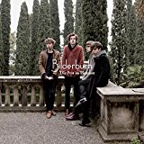 Bilderbuch - SCHICK SCHOCK [Vinyl LP]