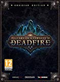  - Pathfinder: Kingmaker (PC)