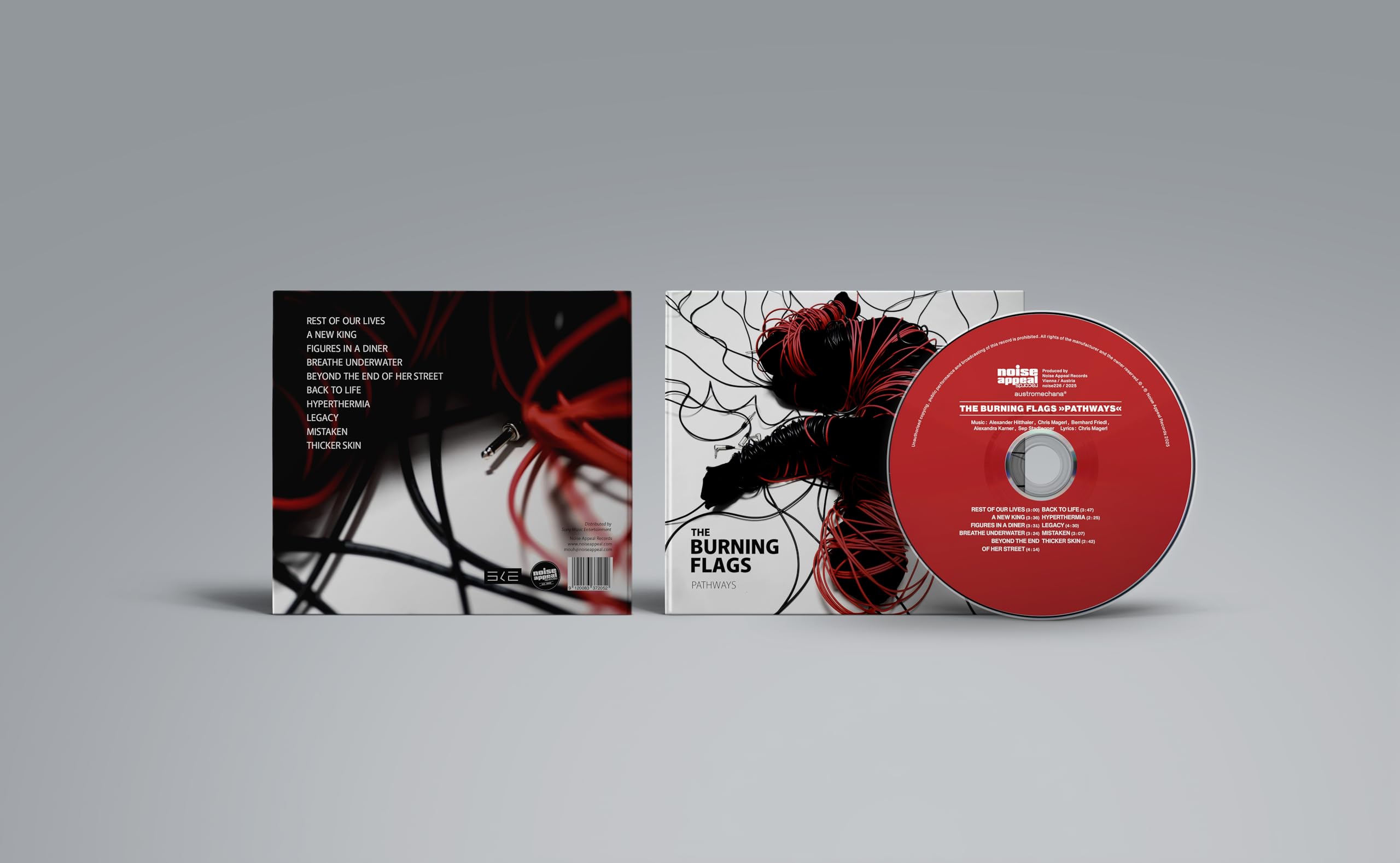 Burning Flags , The - Pathways