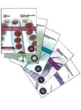  - Itil® 2011 Edition – Das Taschenbuch