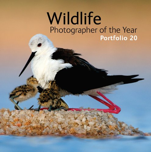 - Wildlife Photographer of the Year Portfolio 20 (Portfolio (Natural History Museum))