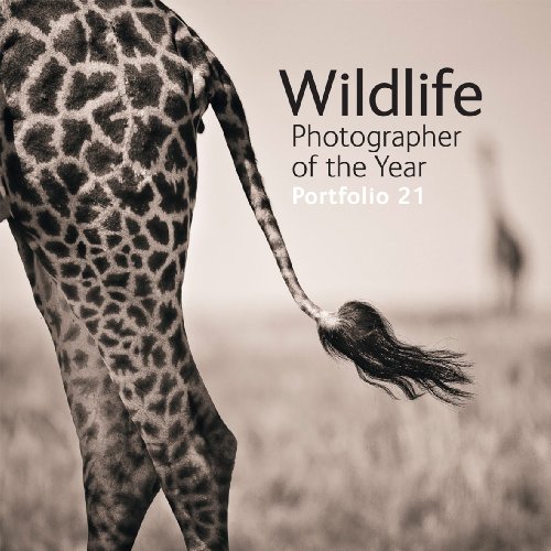 - Wildlife Photographer of the Year Portfolio 21
