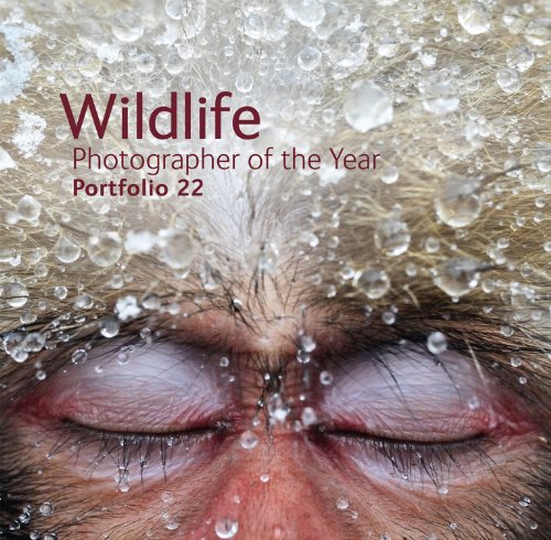  - Wildlife Photographer of the Year Portfolio 22