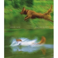 - Beautiful Evidence