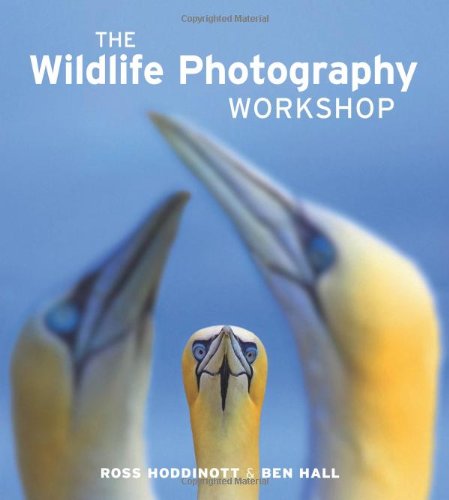 - Wildlife Photography Workshop