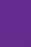  - Prince: 50 Essential Bootlegs