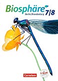 -- - Forum Geschichte - Neue Ausgabe - Berlin/Brandenburg: 7./8. Schuljahr - Vom Mittelalter zum 19. Jahrhundert: Epochenüberblick - Fächerverbindende Module - Längsschnitte. Schülerbuch