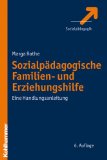  - Sozialpädagogische Fallanalyse und Bericht: Ein Modell für Fallanalyse und Berichte in Erziehungsbeistandschaften und Sozialpädagogischen Familienhilfen