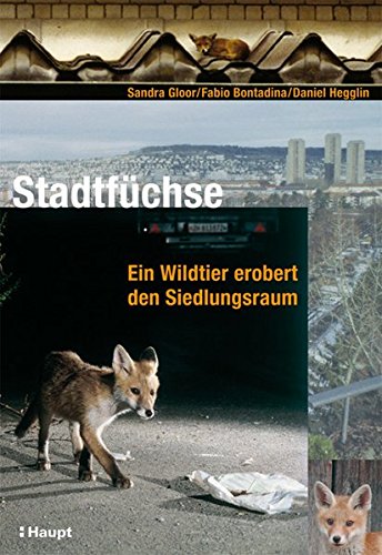  - Stadtfüchse: Ein Wildtier erobert den Siedlungsraum