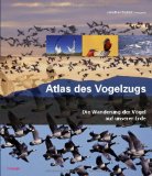  - Vogelzug: Eine aktuelle Gesamtübersicht