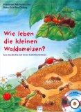  - Wie lebt die kleine Honigbiene?: Eine Geschichte mit vielen Sachinformationen