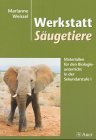  - Blütenpflanzen und Insekten: Stationenlernen in der Sekundarstufe 1mit Lösungen