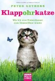  - Dewey und ich -: Die wahre Geschichte des berühmtesten Katers der Welt