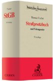  - Strafprozessordnung: Gerichtsverfassungsgesetz, Nebengesetze und ergänzende Bestimmungen