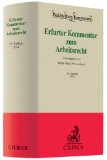 - Personalbuch 2013: Arbeitsrecht, Lohnsteuerrecht, Sozialversicherungsrecht