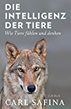 Wdr Sinfonieorchester Köln - Sinfonien 1 und 2