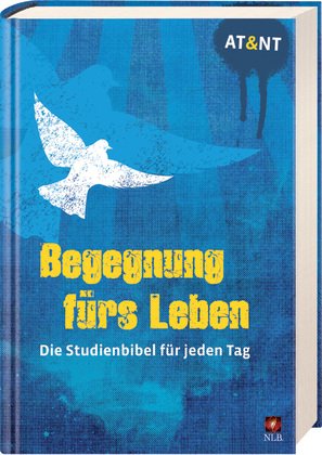 - Begegnung fürs Leben, Motiv