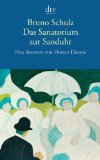  - Im Kopf von Bruno Schulz: Eine Erzählung