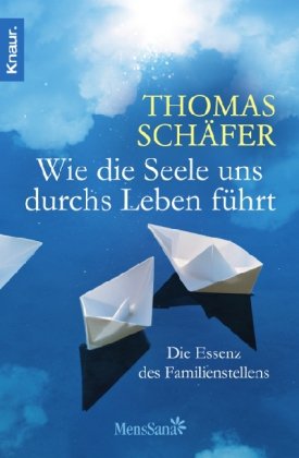 - Wie die Seele uns durchs Leben führt: Die Essenz des Familien-Stellens