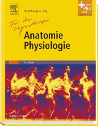 - Anatomie Physiologie für die Physiotherapie: Lehrbuch für Physiotherapeuten, Masseure/medizinische Bademeister und Sportwissenschaftler