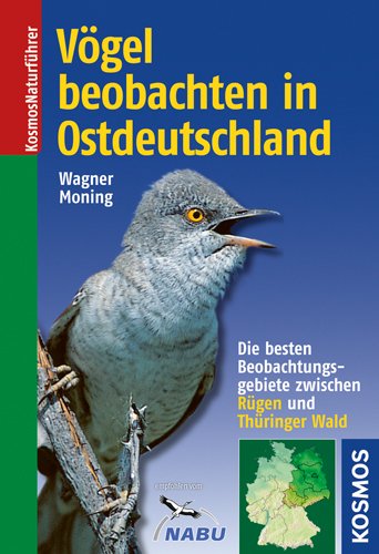  - Vögel beobachten in Ostdeutschland: Die besten Beobachtungsgebiete zwischen Rügen und Thüringer Wald
