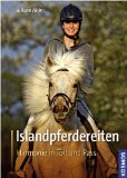  - Islandpferdetraining mit Magnus Skulason