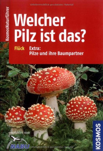 - Welcher Pilz ist das?: Extra: Pilze und ihre Baumpartner