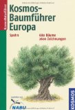  - Pareys Buch der Bäume: Über 600 Arten Europas