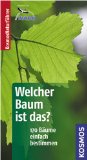 - Welche Wildkräuter und Beeren sind das?: 130 Wildkräuter und Beeren einfach bestimmen. Basic