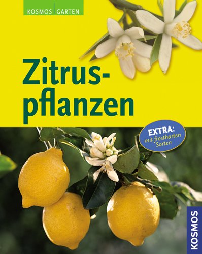 - Zitruspflanzen