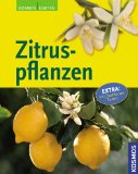  - Zitruspflanzen: Zitrone, Orange, Kumquat & Co