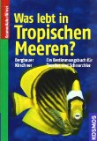  - Koralle - Fisch-Führer Indopazifik: Malediven bis Philippinen