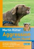 Rütter, Martin - Angst bei Hunden