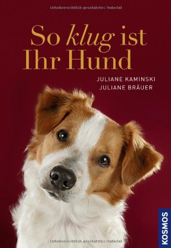 - So klug ist Ihr Hund