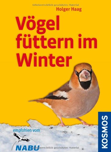 - Vögel füttern im Winter