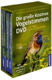 - Grundkurs Vogelstimmen: Heimische Vögel an ihren Stimmen erkennen