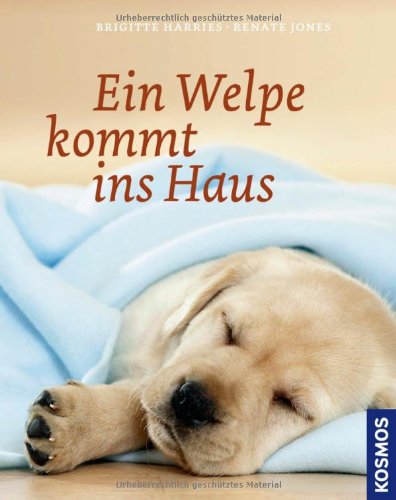 - Ein Welpe kommt ins Haus