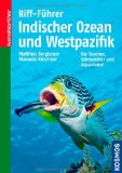  - Korallenführer Indopazifik: Gorgonien - Weichkorallen - Steinkorallen - Seeanemonen. Empfohlen von tauchen