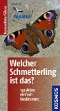  - Schmetterlinge: Treffsicher bestimmen in drei Schritten